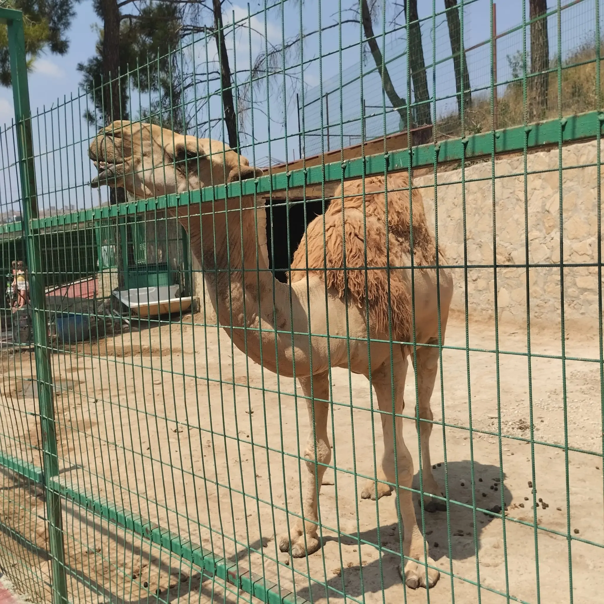 Экскурсия на кабрио: Зелёный каньон, Древний город Селевкия и Водопад Манавгат