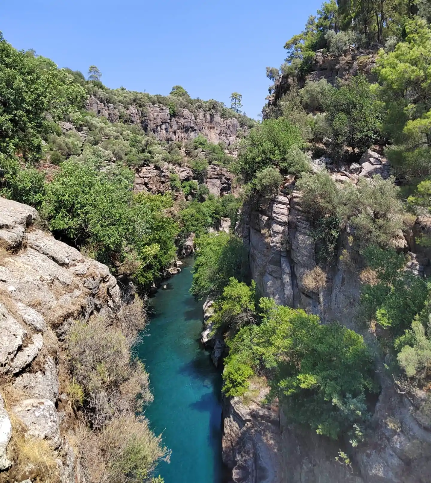 Каньон Тазы + Рафтинг + Зиплайн + Кабрио Сафари + Каньон Кёпрюлю (5 в 1)