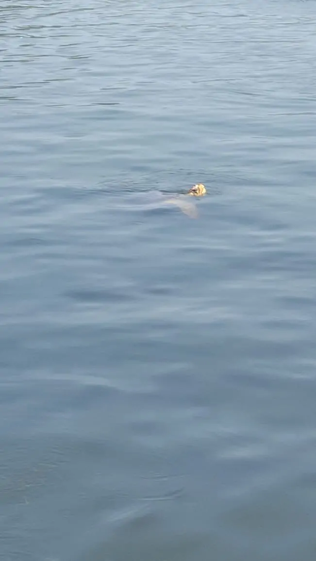 Экскурсия в Дальян из Мармариса