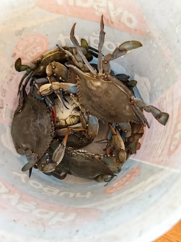 Морская рыбалка в Анталии