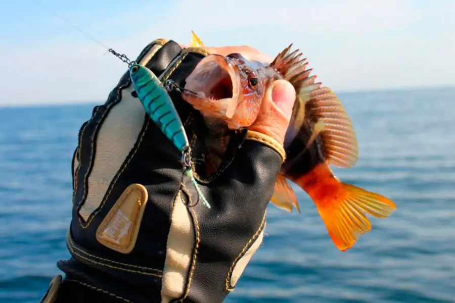 Морская рыбалка в Анталии