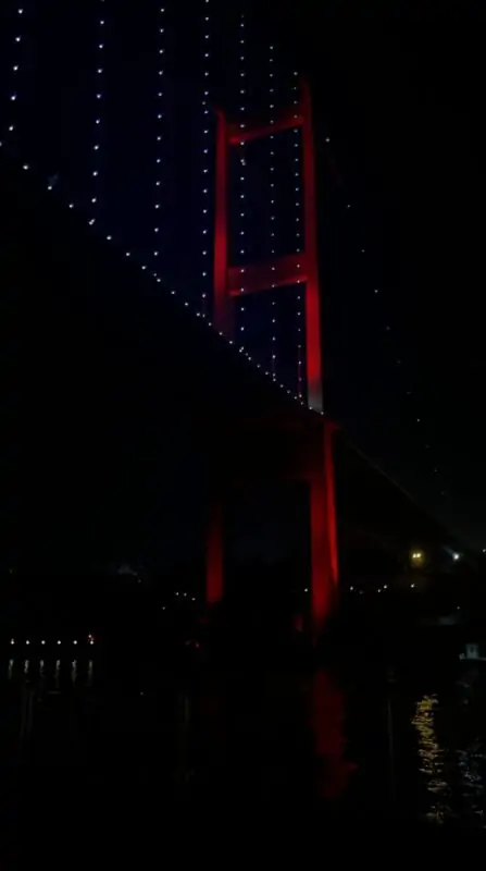 Ужин и Круиз по ночному Босфору в Стамбуле