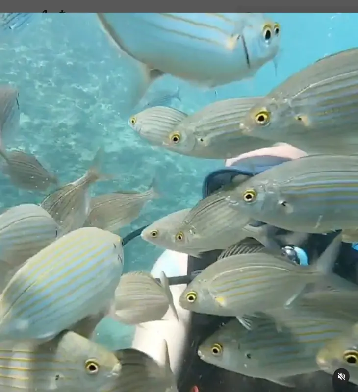 Дайвинг в Анталии