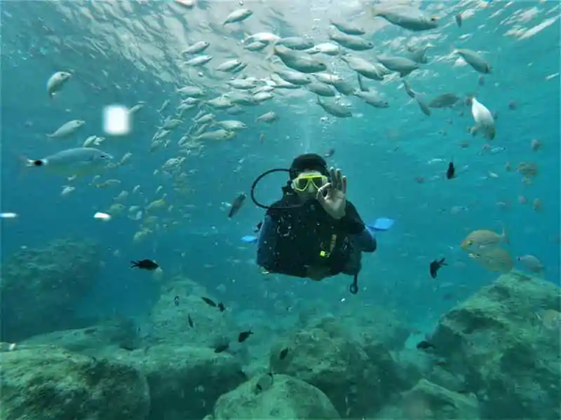 Дайвинг в Кемере