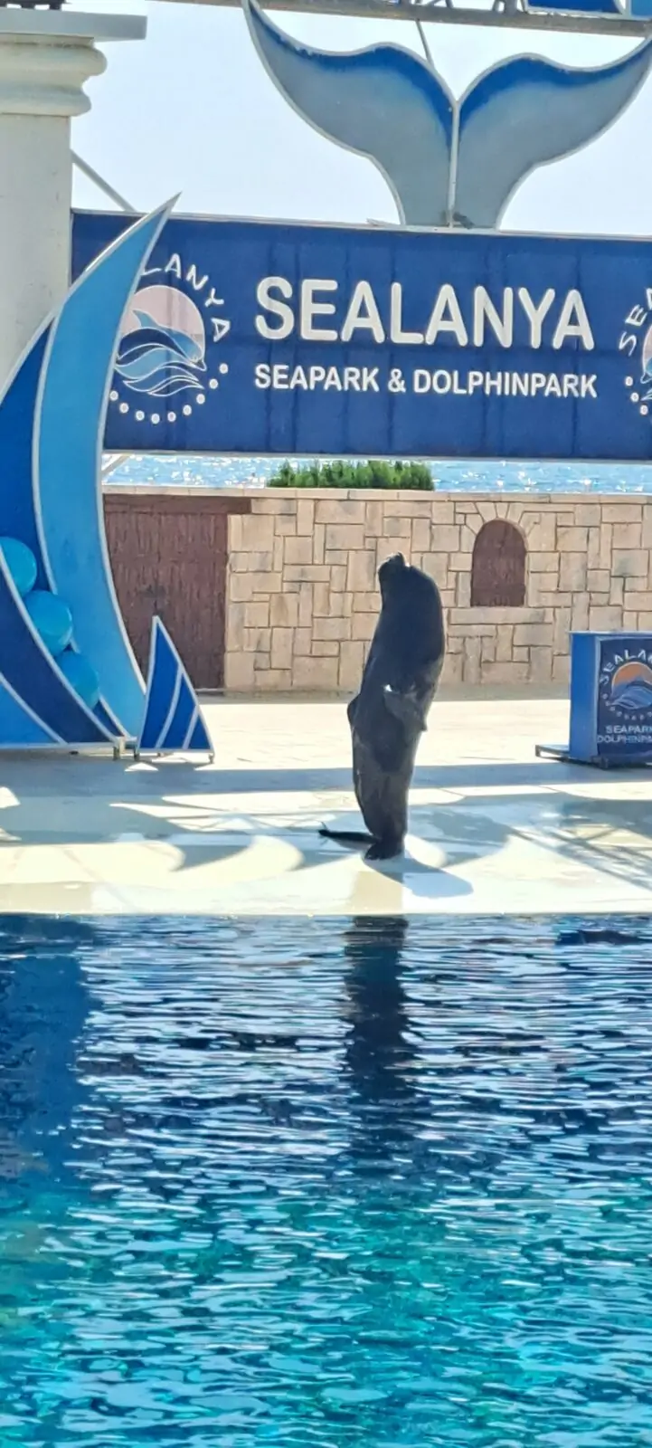 Дельфинарий в Алании