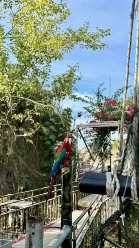 Морская прогулка на пиратском корабле в Сиде