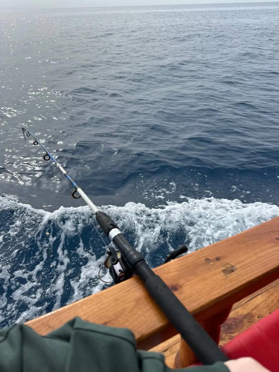 Морская рыбалка в Анталии