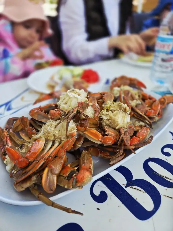 Морская рыбалка в Анталии