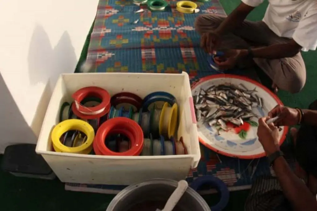 Экскурсия в Мусандам — Оманские фьорды