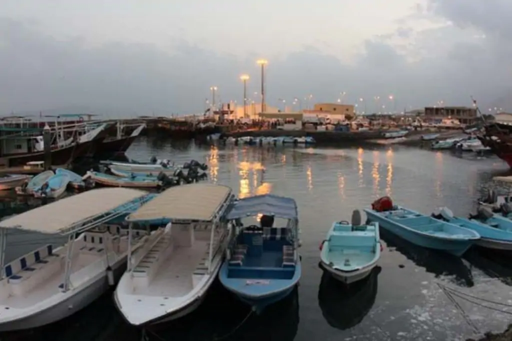 Экскурсия в Мусандам — Оманские фьорды