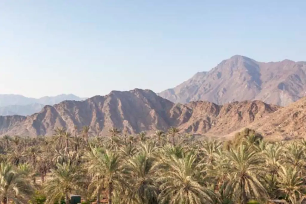 Индивидуальная обзорная экскурсия по Фуджейре