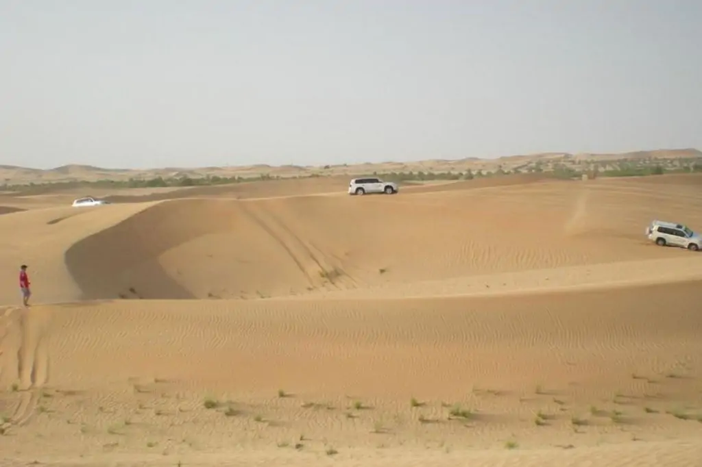 Утреннее Сафари из Дубая, Шарджи и Аджмана