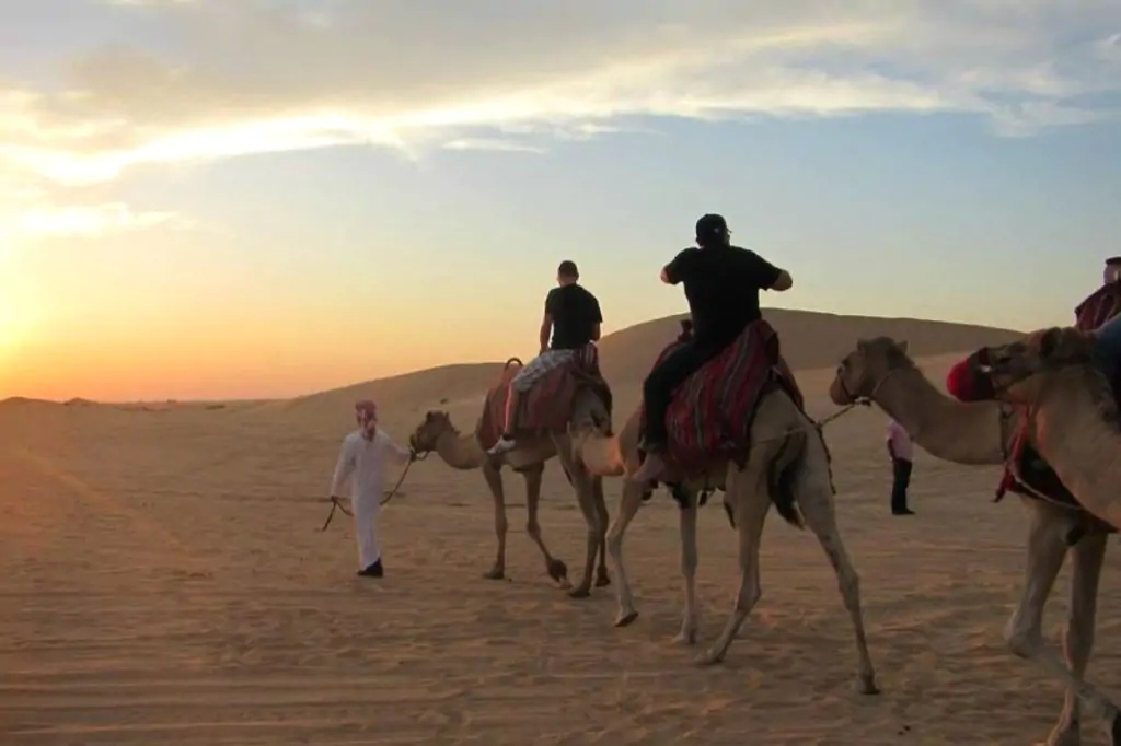 Утреннее Сафари из Дубая, Шарджи и Аджмана