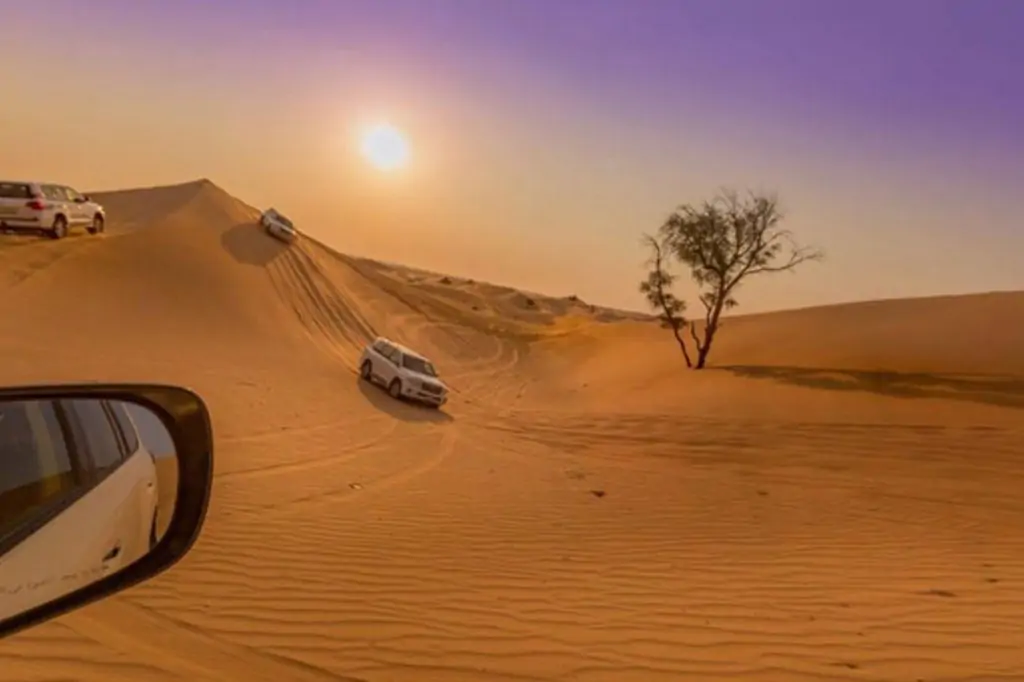 Утреннее Сафари из Дубая, Шарджи и Аджмана