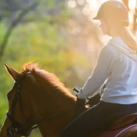 Прогулка на лошадях в Бодруме