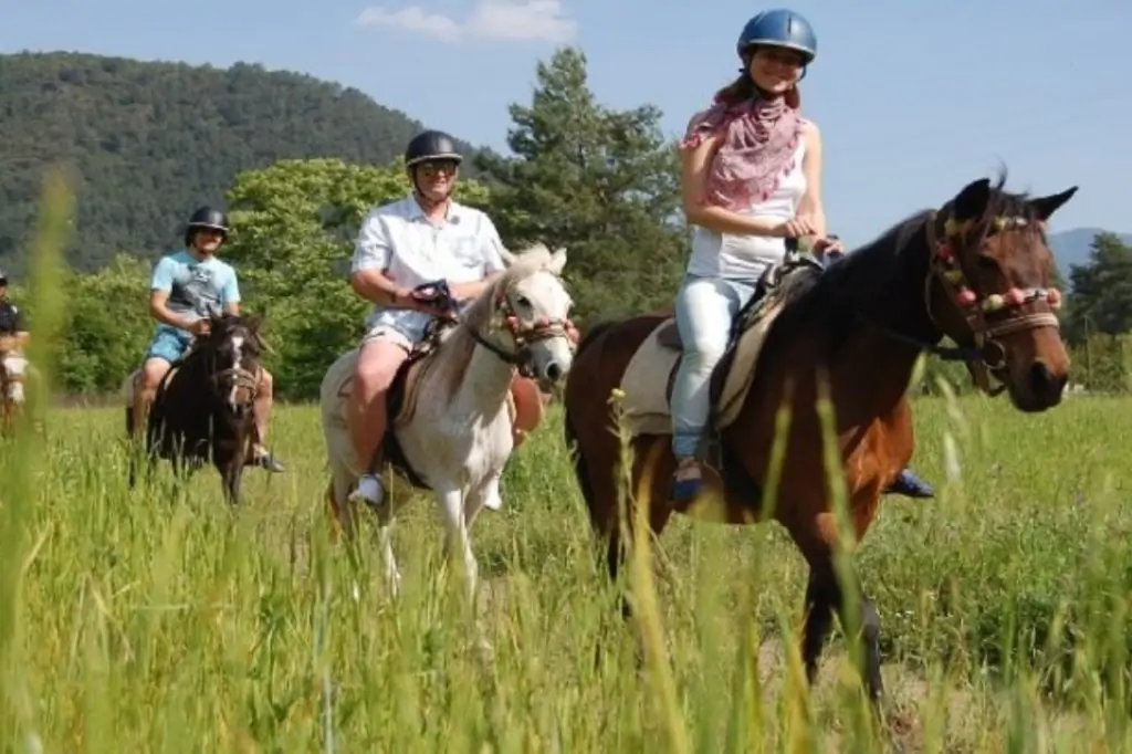Прогулка на лошадях в Бодруме