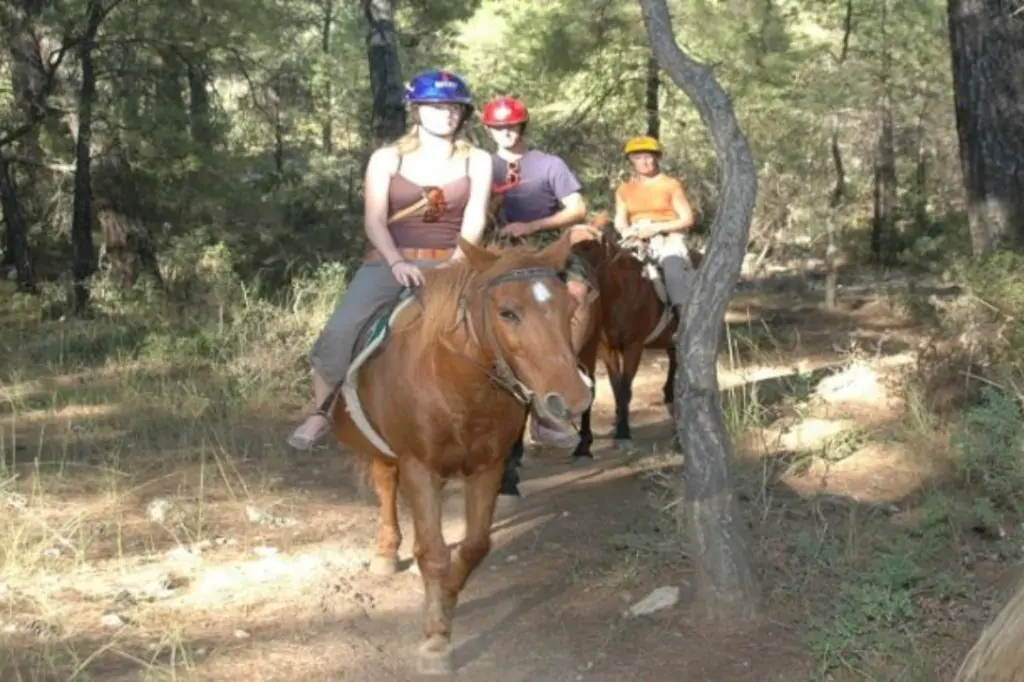 Прогулка на лошадях в Бодруме