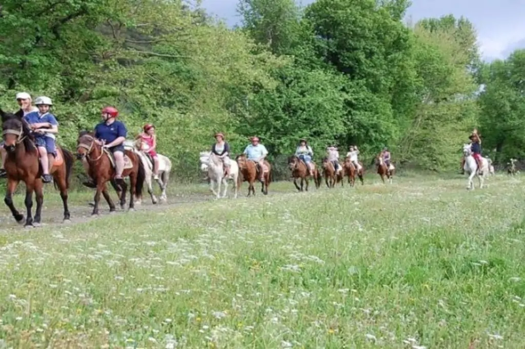 Прогулка на лошадях в Бодруме