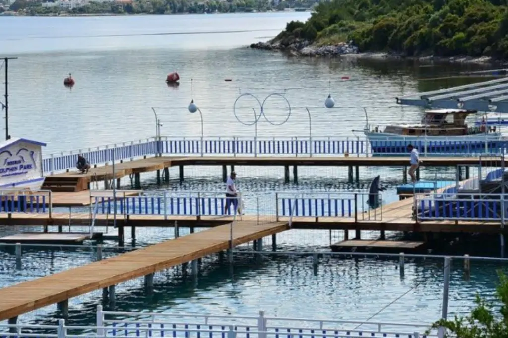 Шоу дельфинов в Бодруме