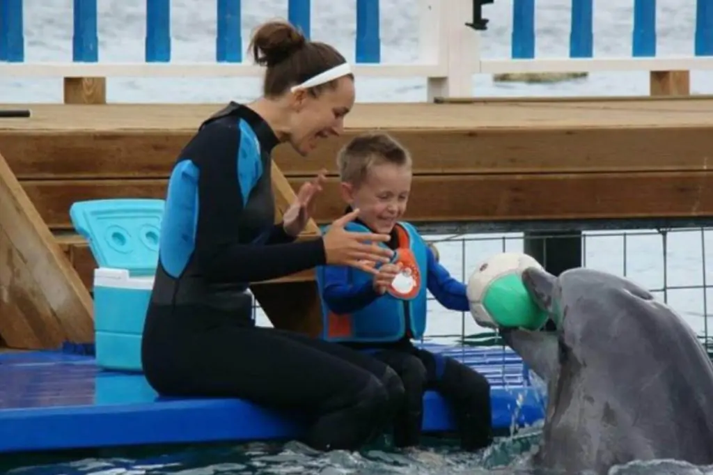 Шоу дельфинов в Бодруме