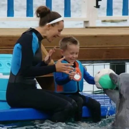 Плавание с дельфинами в Бодруме