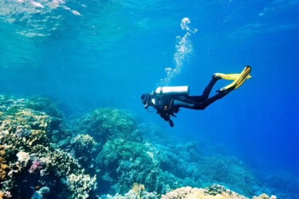 Дайвинг в Бодруме