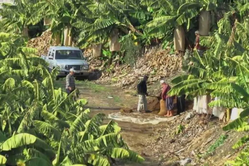 Экскурсия на джипах к водопаду