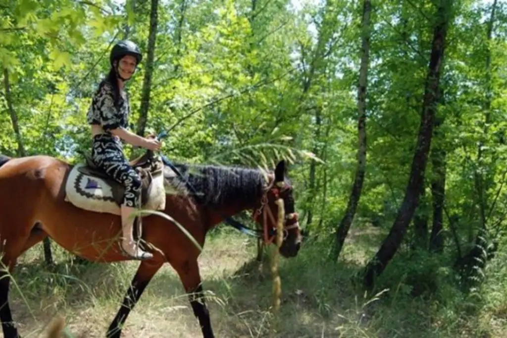 Сафари на лошадях в Белеке
