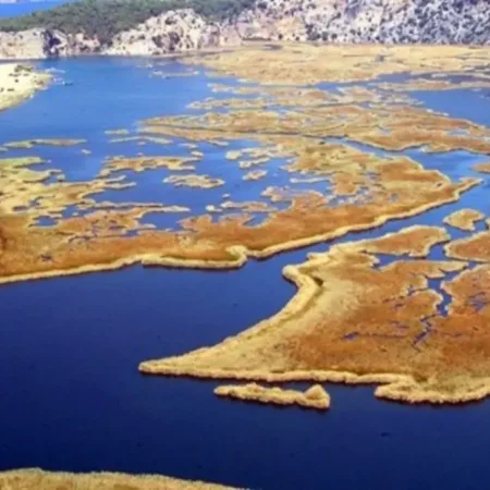 Экскурсия в Дальян из Фетхие