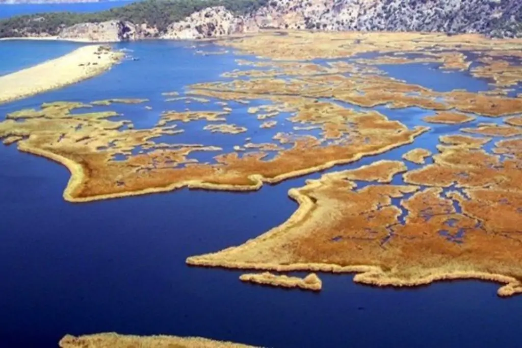 Экскурсия в Дальян из Олюдениза