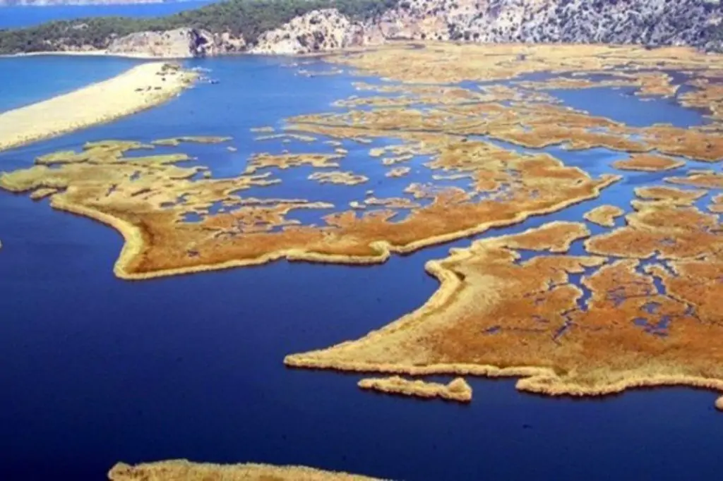 Индивидуальная экскурсия в Дальян из Олюдениза