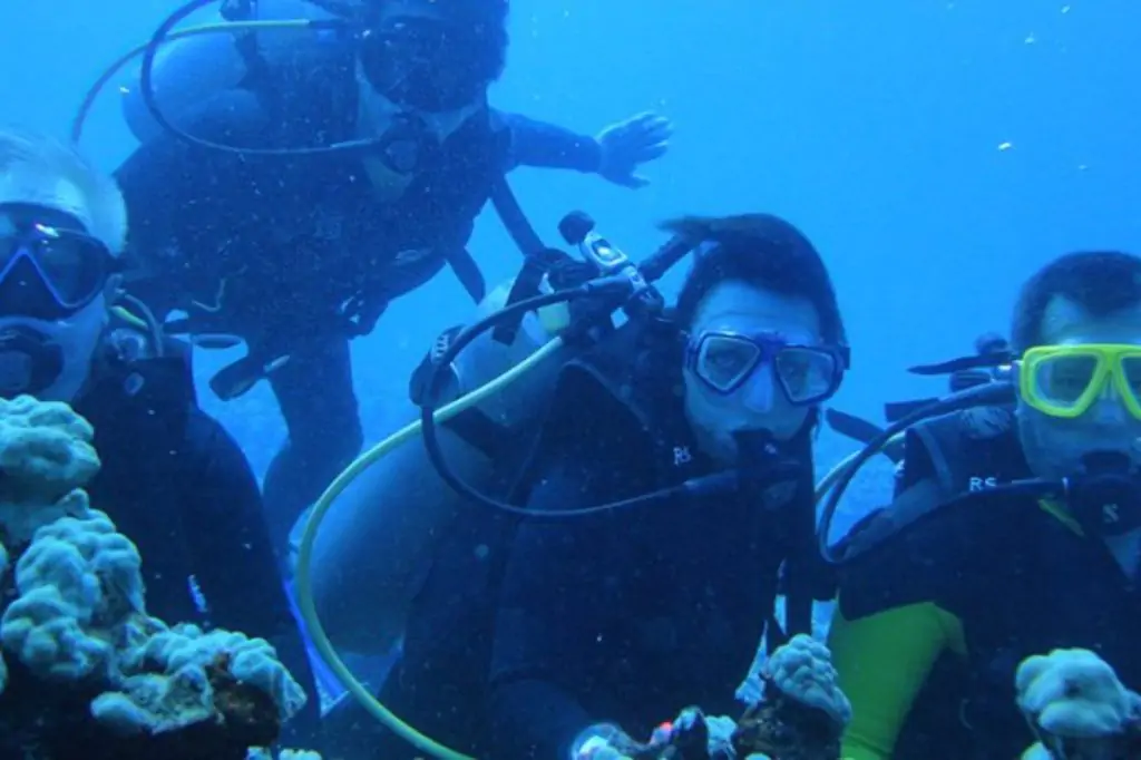 Дайвинг в Фетхие