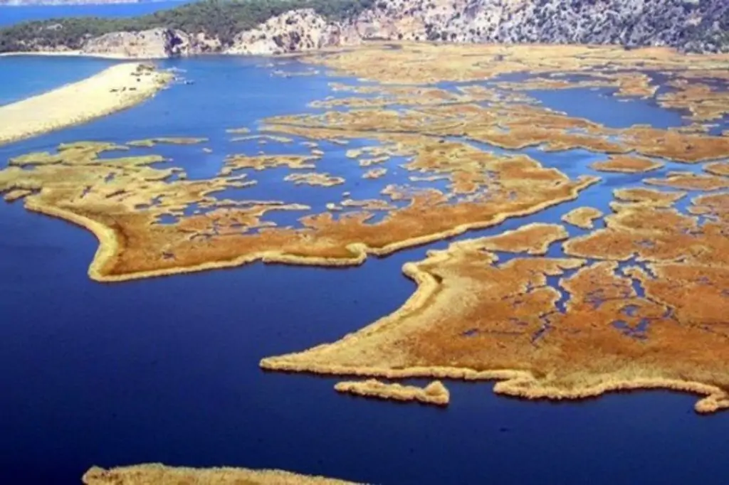 Экскурсия в Дальян из Мармариса