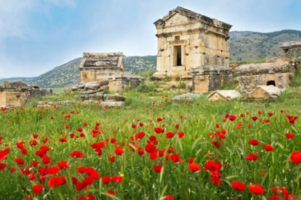 Экскурсия в Памуккале из Ичмелера