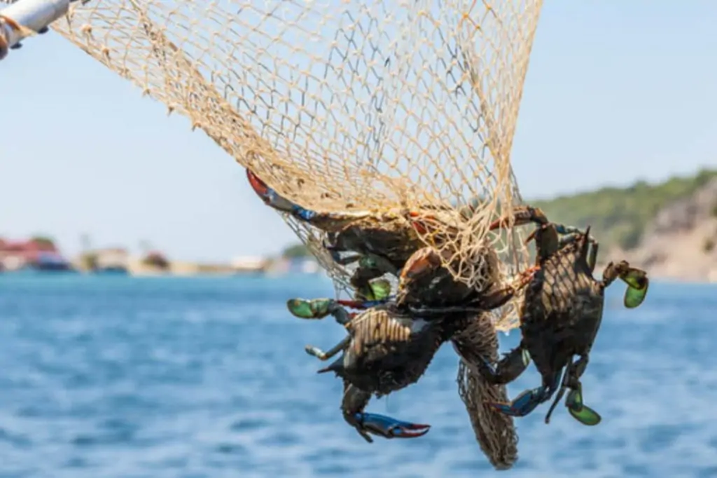 Экскурсия в Дальян из Ичмелера