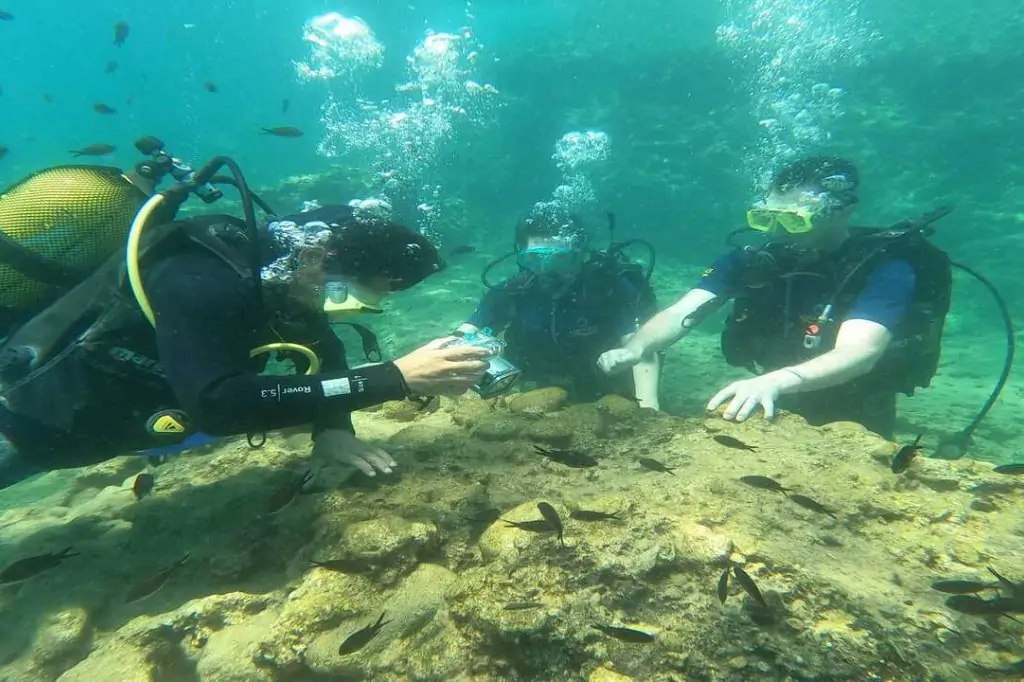 Тур на Дайвинг с Аквалангом из Аланьи