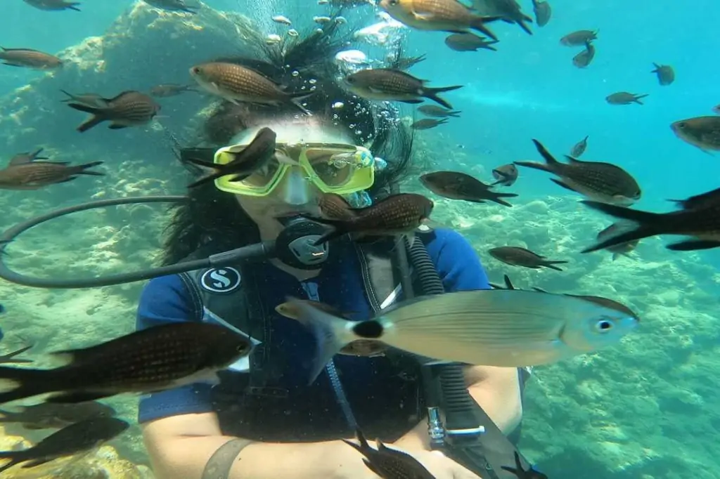 Тур на Дайвинг с Аквалангом из Аланьи