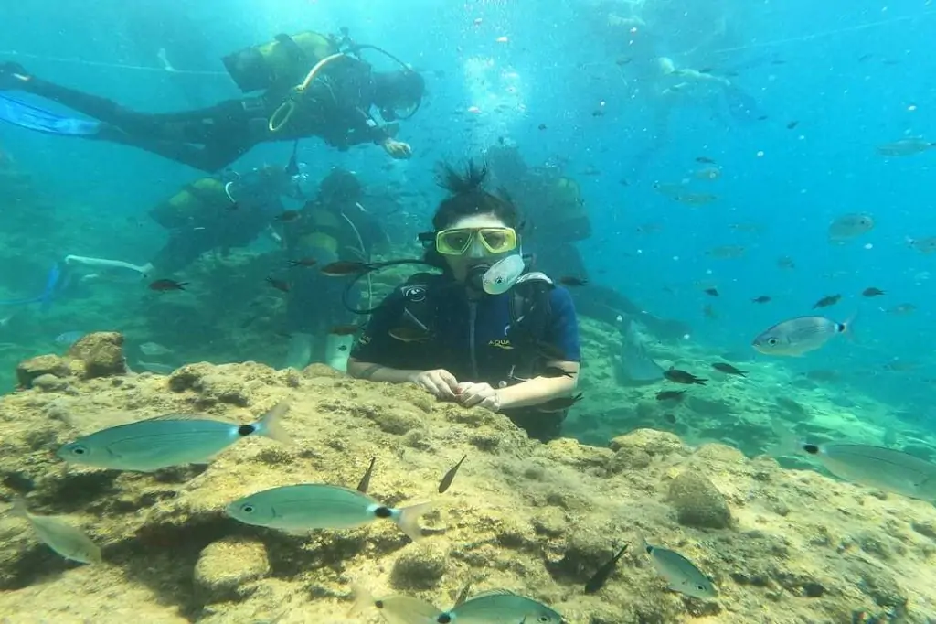 Тур на Дайвинг с Аквалангом из Аланьи