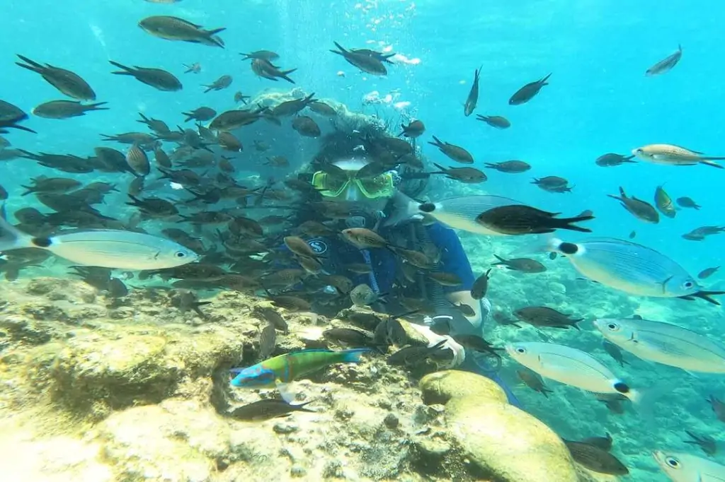 Тур на Дайвинг с Аквалангом из Аланьи