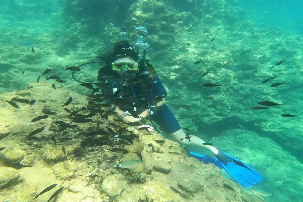 Тур на Дайвинг с Аквалангом из Аланьи