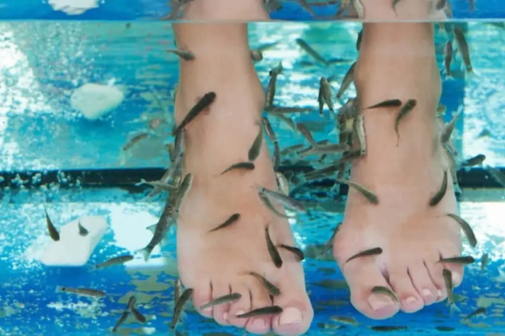 Турецкий хамам Olive в Алании