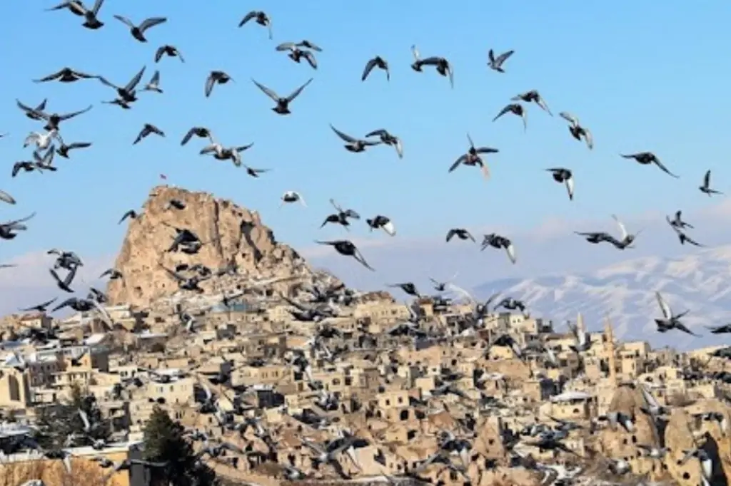 Экскурсия на самолёте в Каппадокию с проживанием в отеле из Анталии