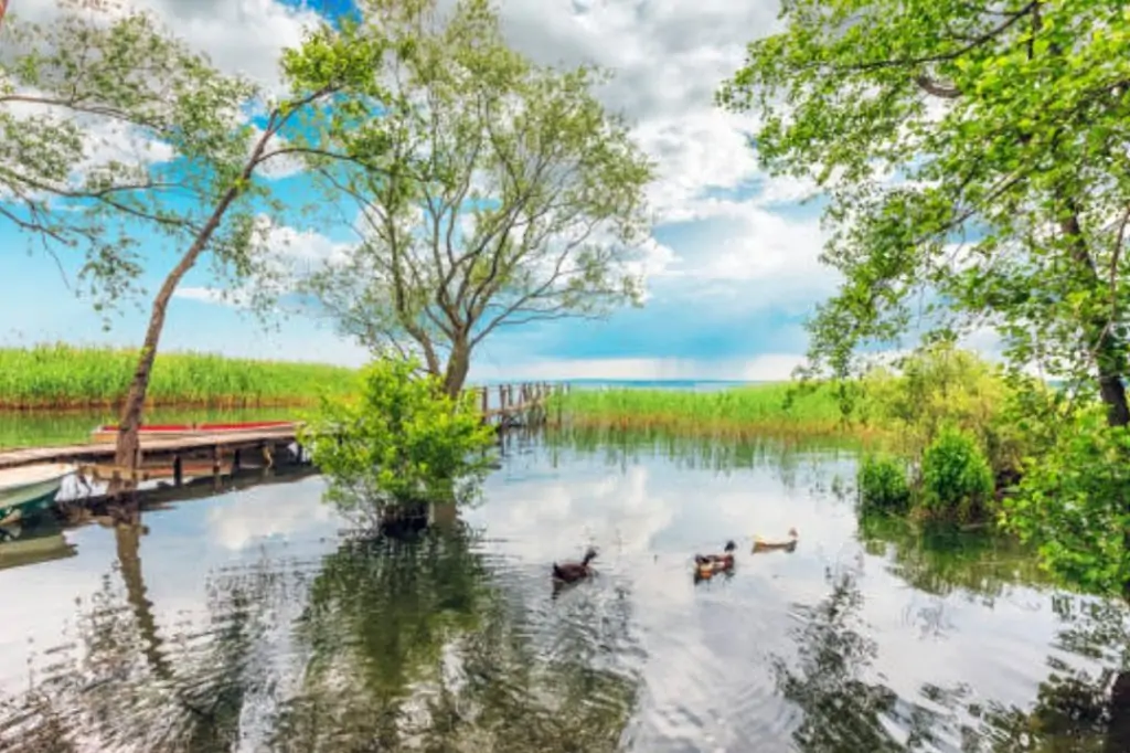 Экскурсия в Сапанджа и Машукие из Стамбула