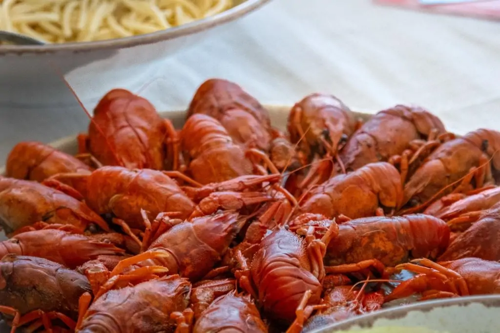 Аренда яхты в Белеке – приватный отдых на волнах