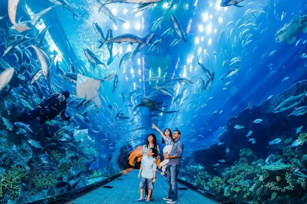 Экскурсия в Аквариум Анталии из Анталии/Белека