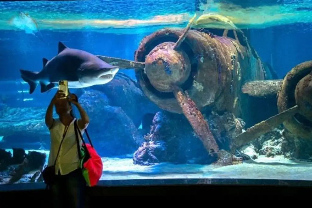 Экскурсия в Аквариум Анталии из Анталии/Белека