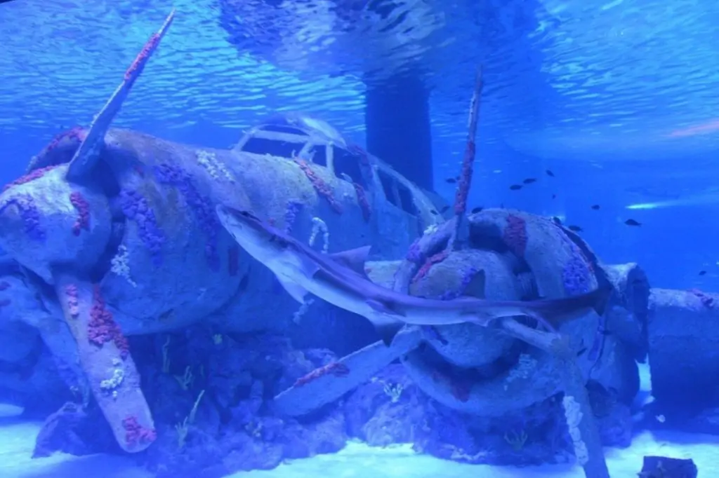 Экскурсия в Аквариум Анталии из Анталии/Белека