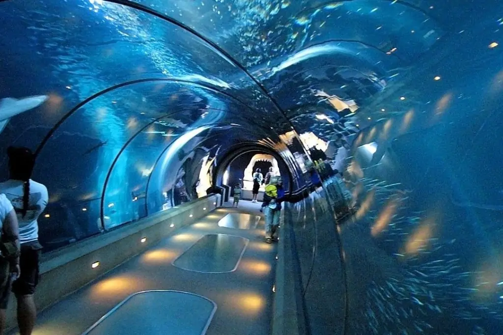 Экскурсия в Аквариум Анталии из Анталии/Белека