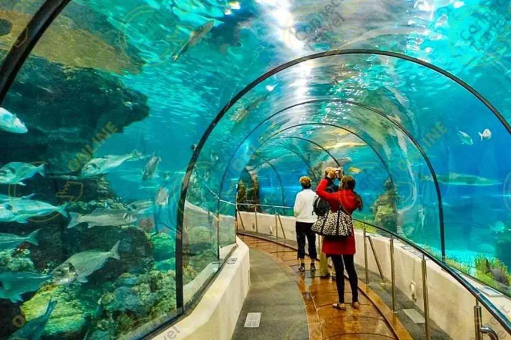 Экскурсия в Аквариум Анталии из Анталии/Белека