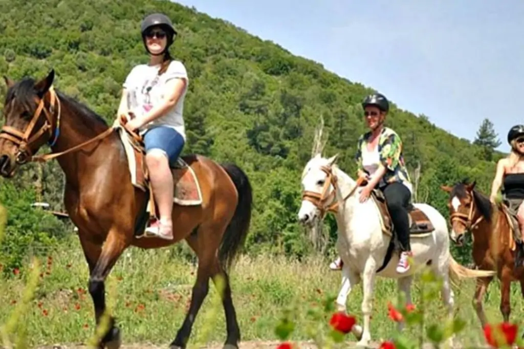 Сафари на лошадях в Мармарисе